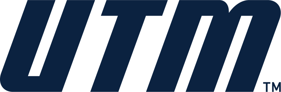 Tennessee-Martin Skyhawks 2020-Pres Wordmark Logo iron on transfers for clothing